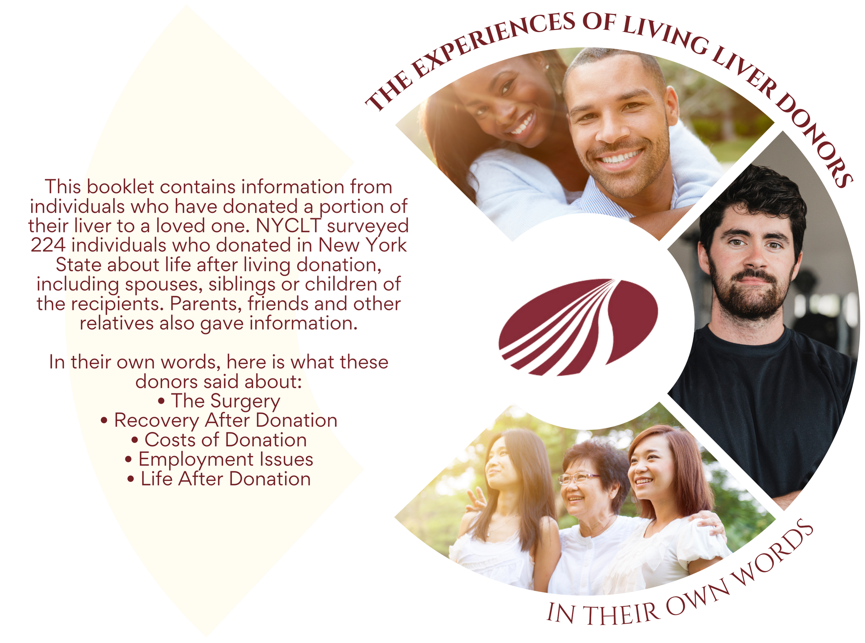 This booklet contains information from individuals who have donated a portion of their liver to a loved one. NYCLT surveyed 224 individuals who donated in New York State about life after living donation, including spouses, siblings or children of the recipients. Parents, friends and other relatives also gave information. In their own words, here is what these donors said about: the surgery, recovery after donation, costs of donation, employment issues, and life after donation.